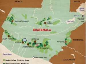 Guatemala Antiqua SHB