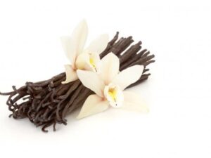 Αρωματικός Φίλτρου Βανίλια