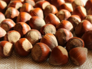 Αρωματικός Φίλτρου Φουντούκι