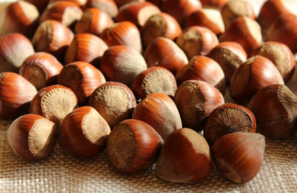 Αρωματικός Φίλτρου Φουντούκι